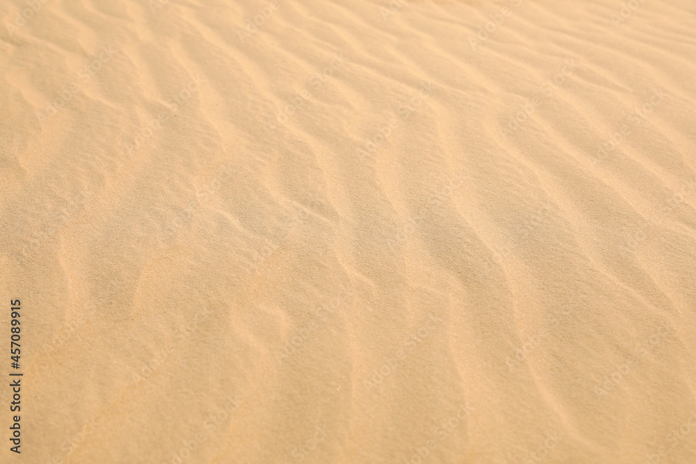 Beautiful view of rippled sandy surface in desert as background Beautiful view of rippled sandy surface in desert as background