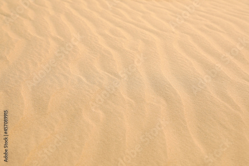 Beautiful view of rippled sandy surface in desert as background © New Africa