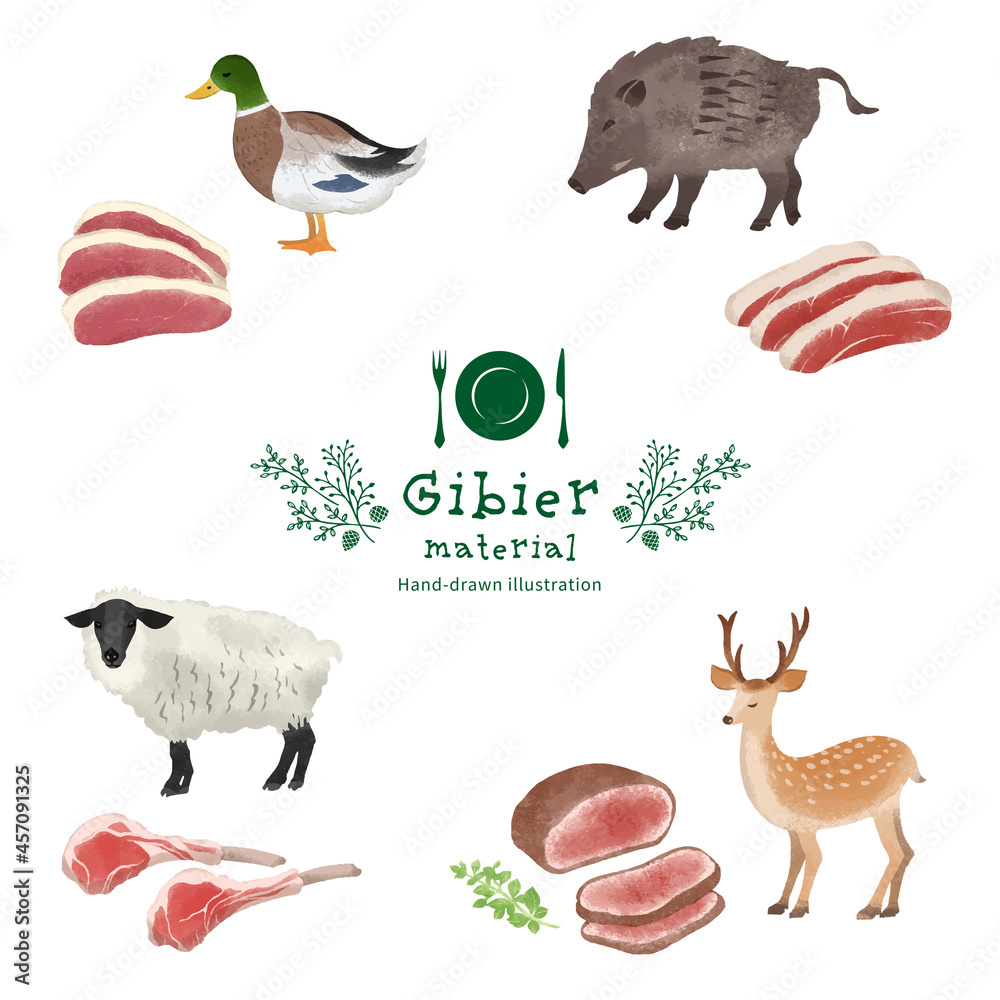 ジビエの食材イラストセット Stock Vector Adobe Stock ジビエの食材イラストセット Stock Vector Adobe Stock