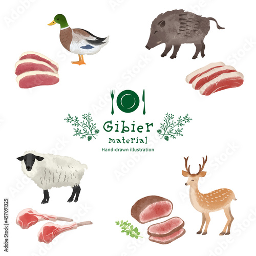 ジビエの食材イラストセット
