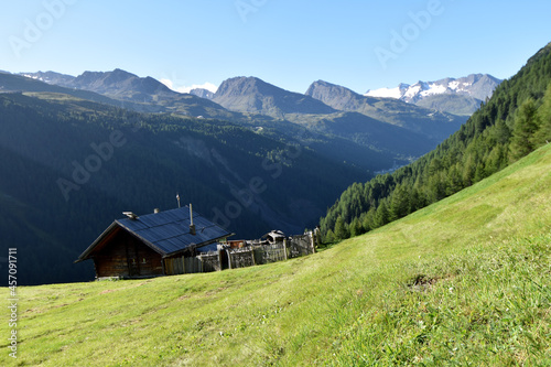 Alm am Neberkogel