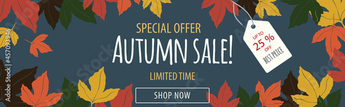 Horizontal banner for autumn season sales. Special offer leaflet with fall maple leaves, label and text up to 25% off. Texts with Limited time and Best price. Blue, golden, brown, green and red tones.