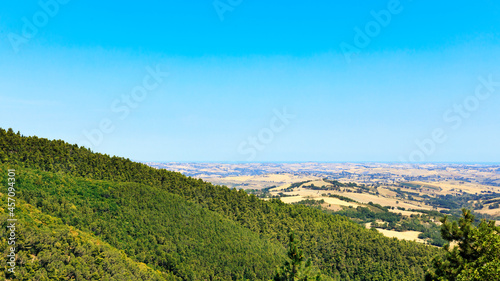 Beautiful natural landscape in the summer  blue sky