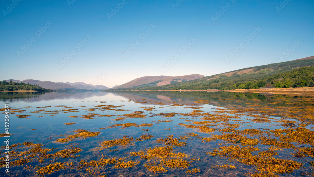Golden seaweed and mirror reflections in Loch Eil on a perfectly calm summers day