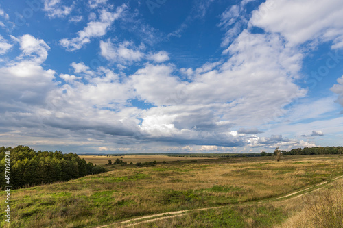 Fototapeta Naklejka Na Ścianę i Meble -  Road through fields. Country road in summer field and clouds on blue sky.