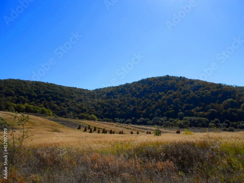 landscape with sky