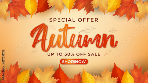Autumn sale banner background flat design 