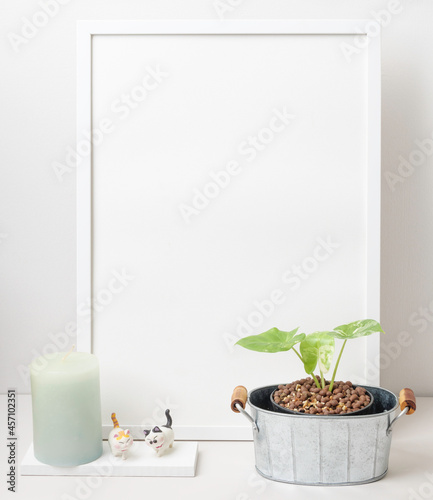 White poster frame mock up, Alocasia macrorrhizos   houseplant in galvanize vase,cat toys and cgreen andle  spa on white table room interior photo