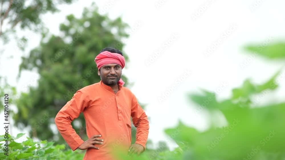 Young indian farmer standing in cotton agriculture field. Young indian farmer standing in cotton agriculture field.