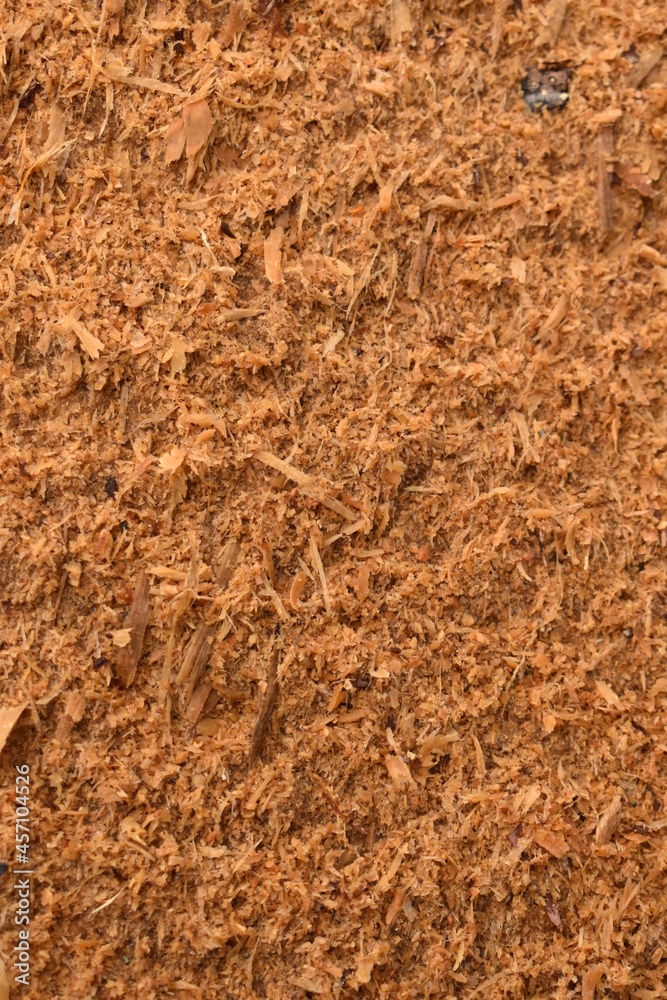 texture of a stone texture of a stone
