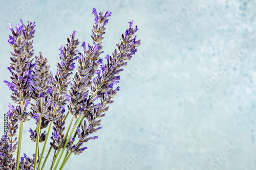 Lavender flower bouquet on a blue background with a place for text, a bunch of lavandula plants