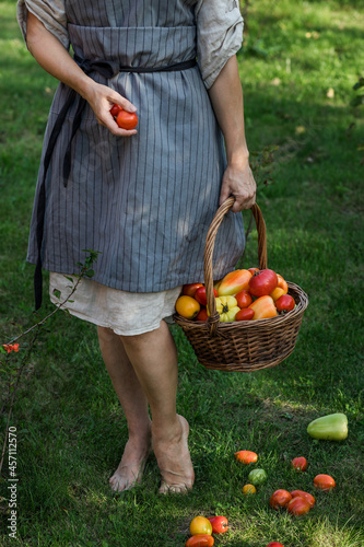 woman holding a basket with ripe tomatoes and peppers in the garden © Pavel Korotkov