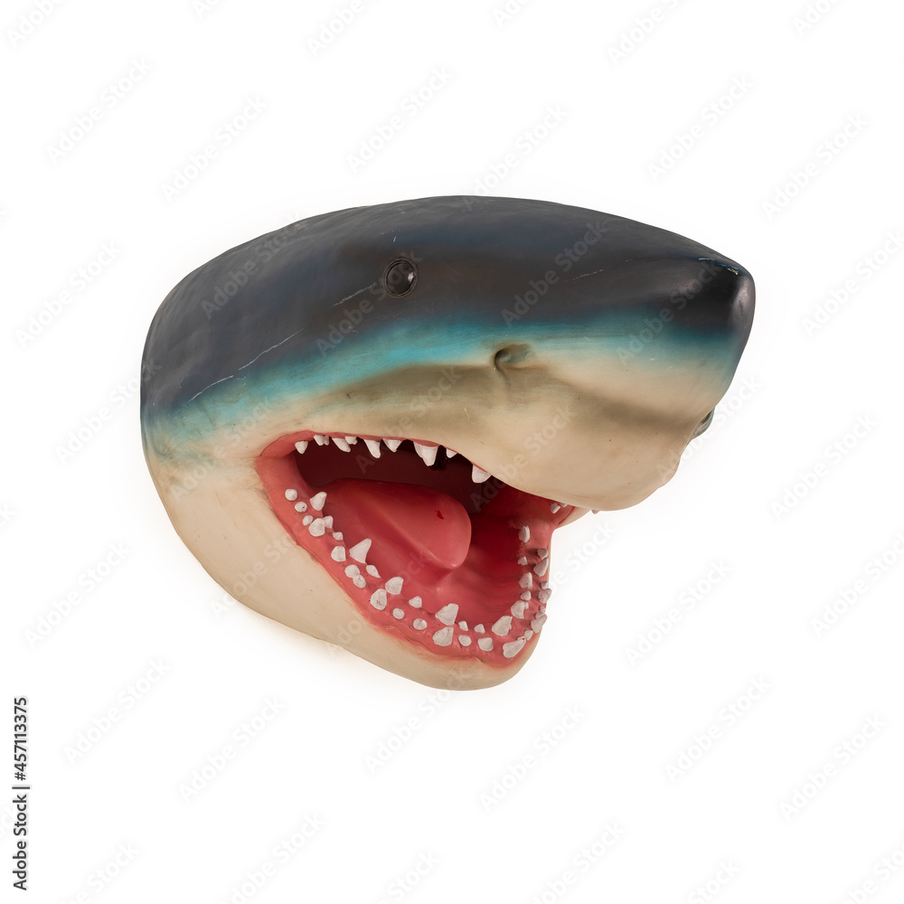 Naklejka premium shark head model on white background