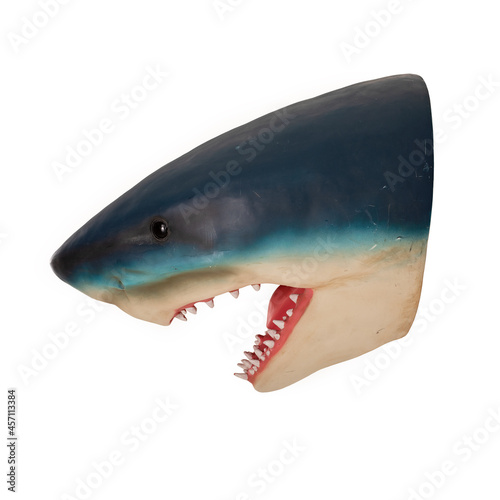 shark head model on white background