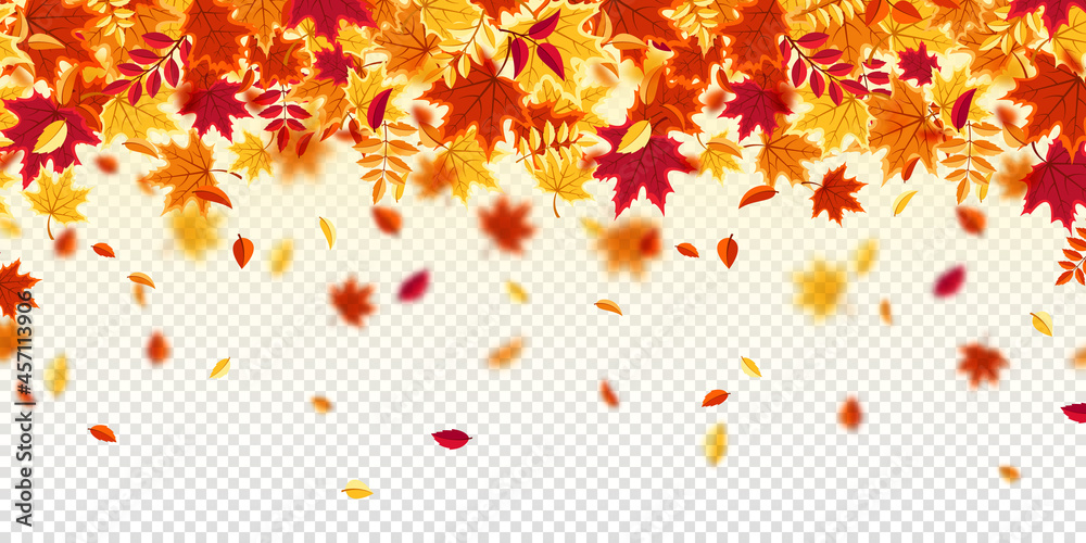 Falling autumn leaves. Nature background with red, orange, yellow foliage. Flying leaf. Season sale. Vector illustration.