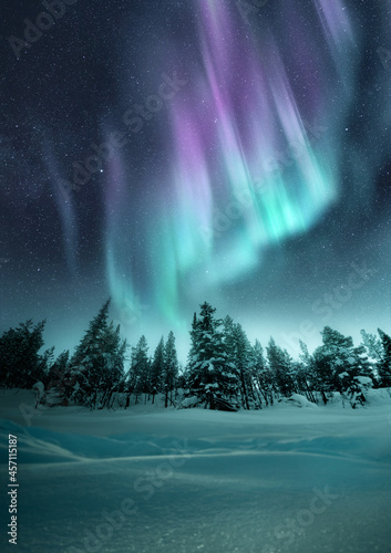 The Aurora Northern Lights flicker in the winter night sky above a forest in Sweden. Photo Composite. photo
