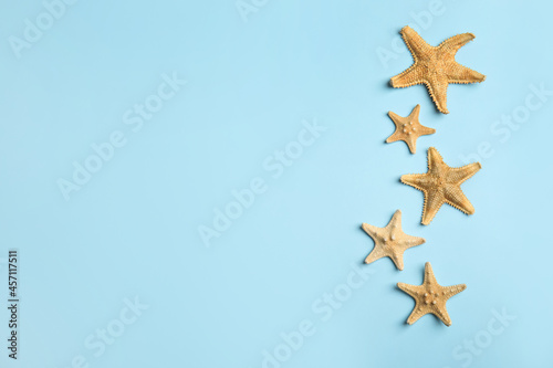 Beautiful sea stars on light blue background, flat lay. Space for text