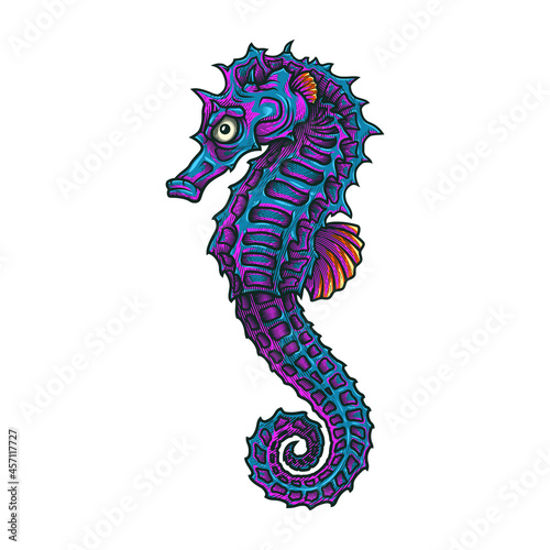 Sea horse. Vector illustration in engraving technique of sea horse.