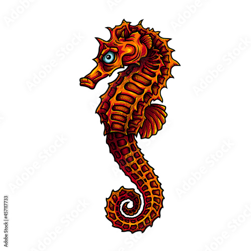 Sea horse. Vector illustration in engraving technique of sea horse.