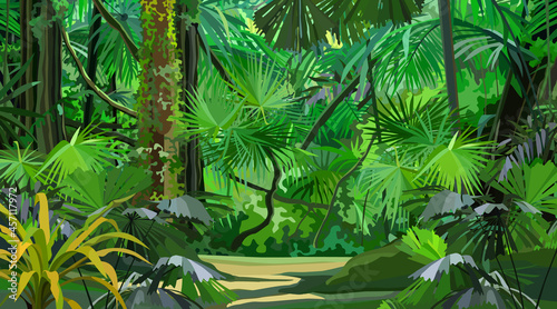 bright cartoon dense tropical jungle with footpath