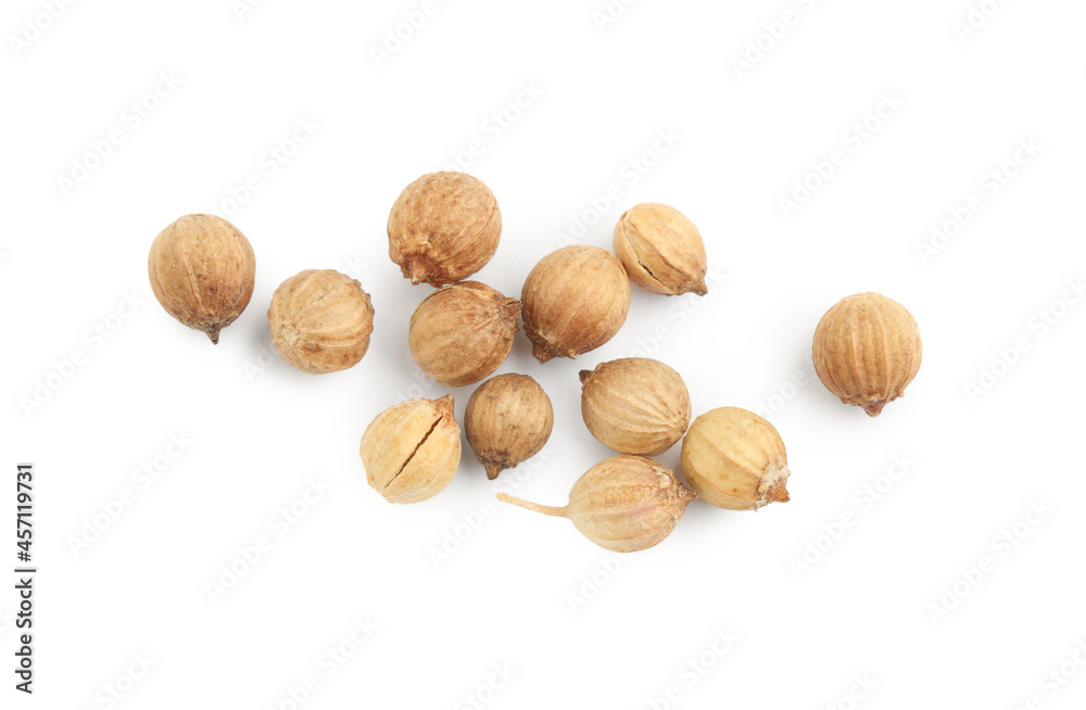 Scattered dried coriander seeds on white background, top view Scattered dried coriander seeds on white background, top view