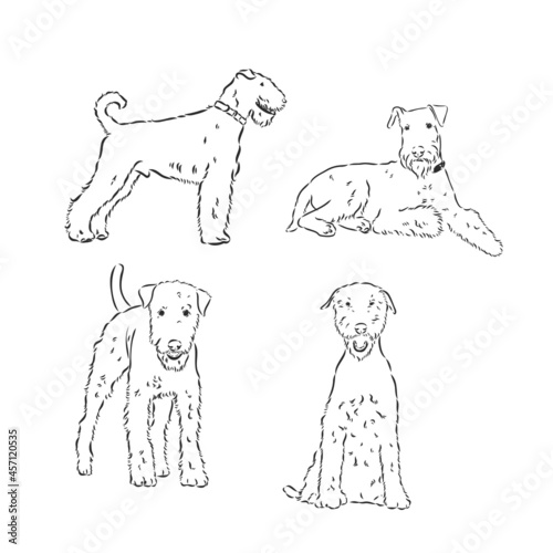 airedale terrier dog simple vector sketch illustration on a white background