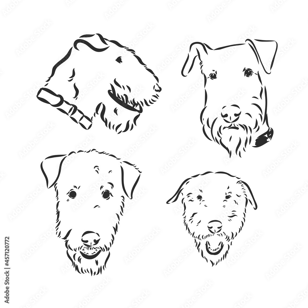 Fototapeta premium airedale terrier dog simple vector sketch illustration on a white background