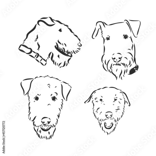 airedale terrier dog simple vector sketch illustration on a white background