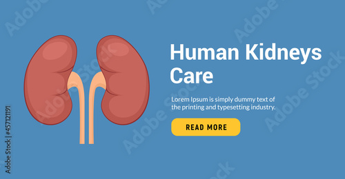 Lung human icon, respiratory system healthy lungs anatomy flat medical organ banner