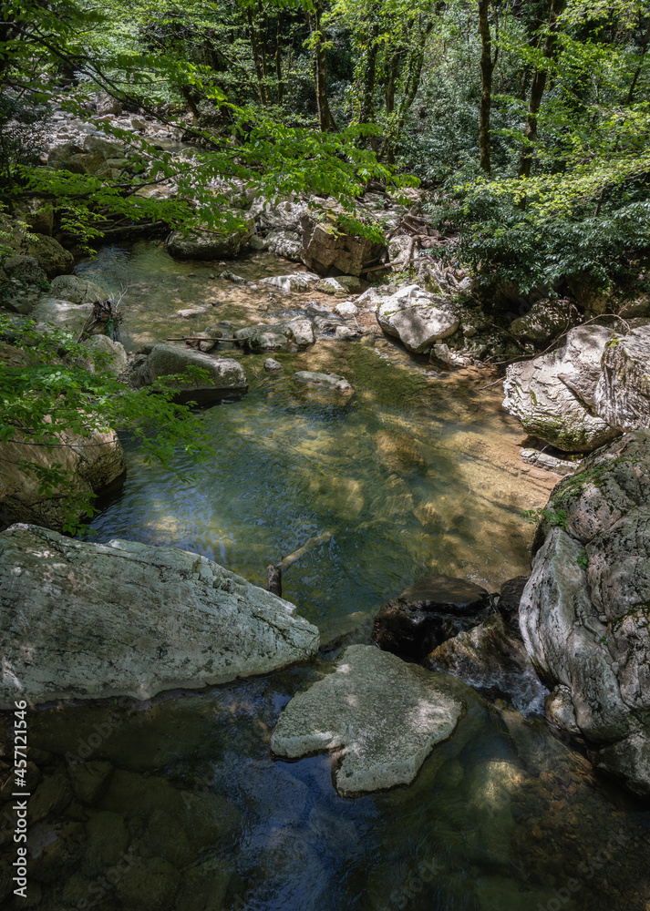 Fresh mountain creek cascading through stone boulders. Transparent water. Riverbanks, overgrown with lush green.