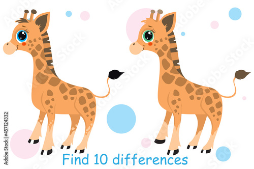 Illustration of a baby giraffe. Find the differences in animals. For printing on paper. Vector illustration