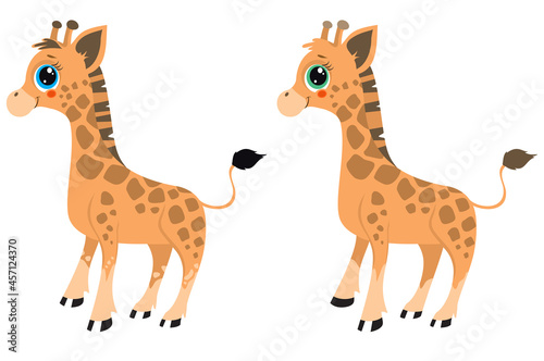 Fototapeta Naklejka Na Ścianę i Meble -  Illustration of a baby giraffe. Find the differences in animals. For printing on paper. Vector illustration