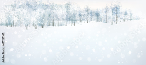 Vector winter  forest background.