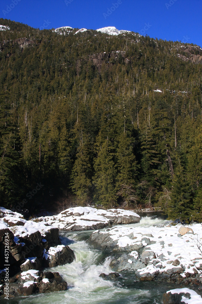 Snow capped mountains, pine trees and a river on Vancouver Island, British Columbia (BC), Canada