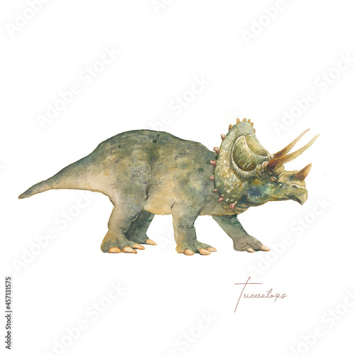 Triceratops illustration. Watercolor prehistirical reptile isolated on white background. Dinosaur era collection © ldinka