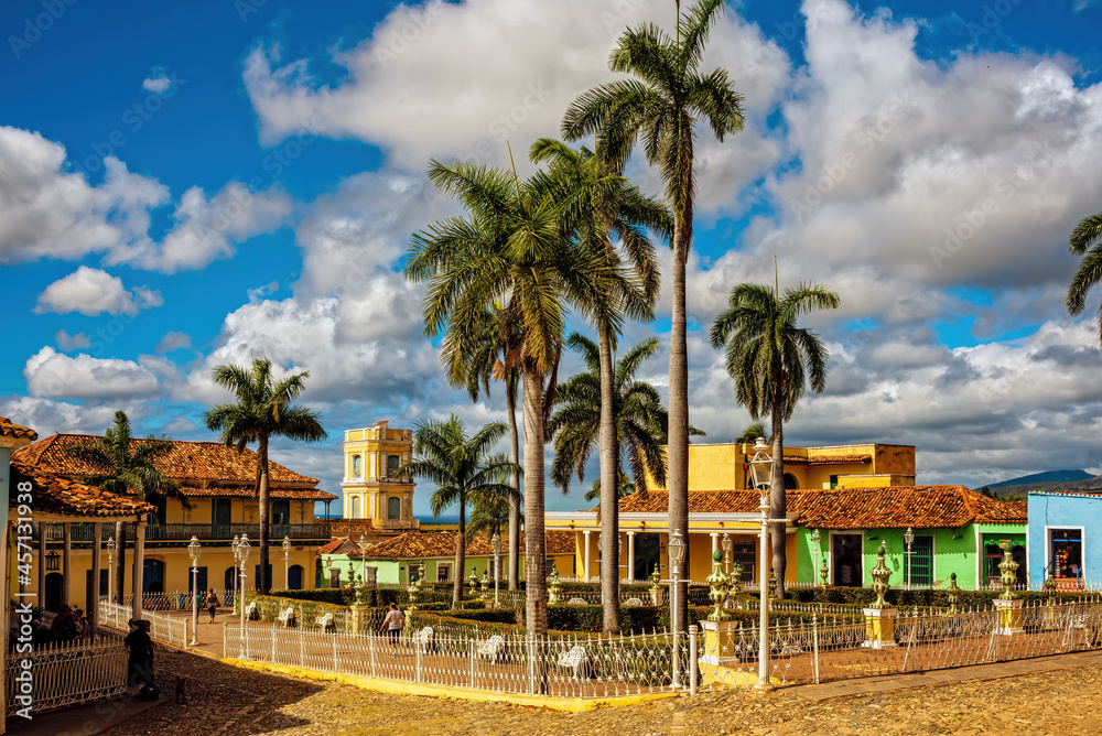Fototapeta premium trees in trinidad, cuba