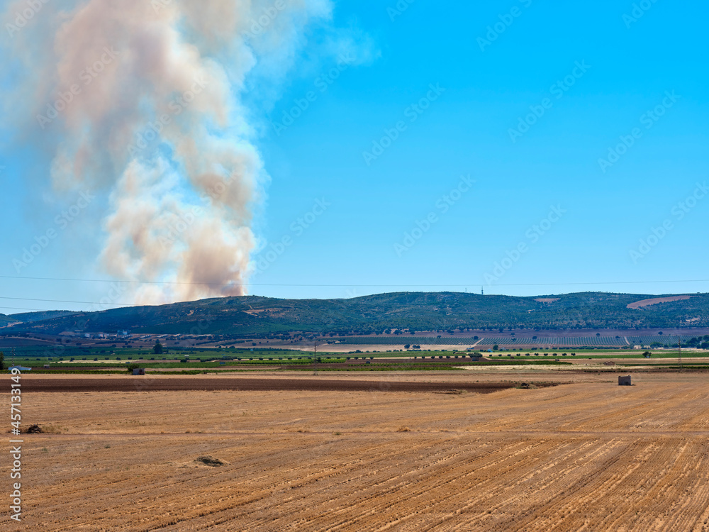 Forest fire broke out in the hills of a nature reserve. Burning trees in the nature park on a summer day. Forest fire broke out in the hills of a nature reserve. Burning trees in the nature park on a summer day.
