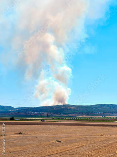 Forest fire broke out in the hills of a nature reserve. Burning trees in the nature park on a summer day.