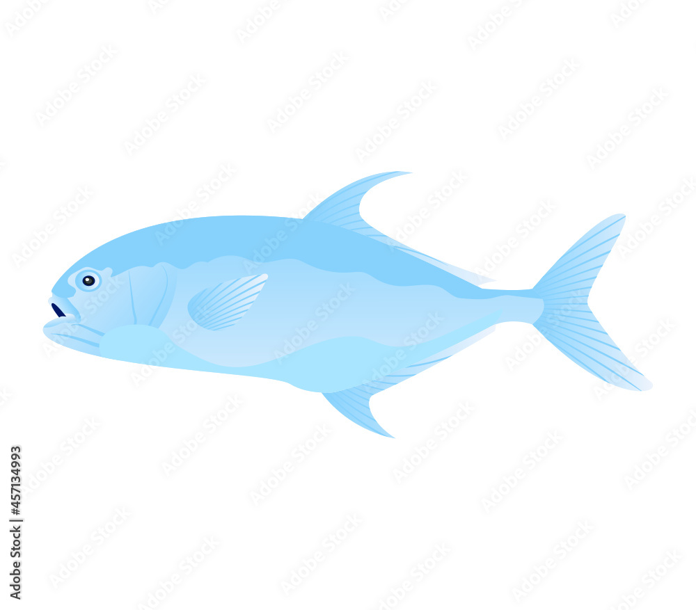 Fish Fish