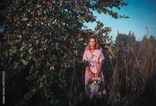 Outdoors lifestyle fashion portrait of beautiful woman picking apples in an orchard. Holding basket of apples. Wearing stylish striped kimono-dress and straw hat. 