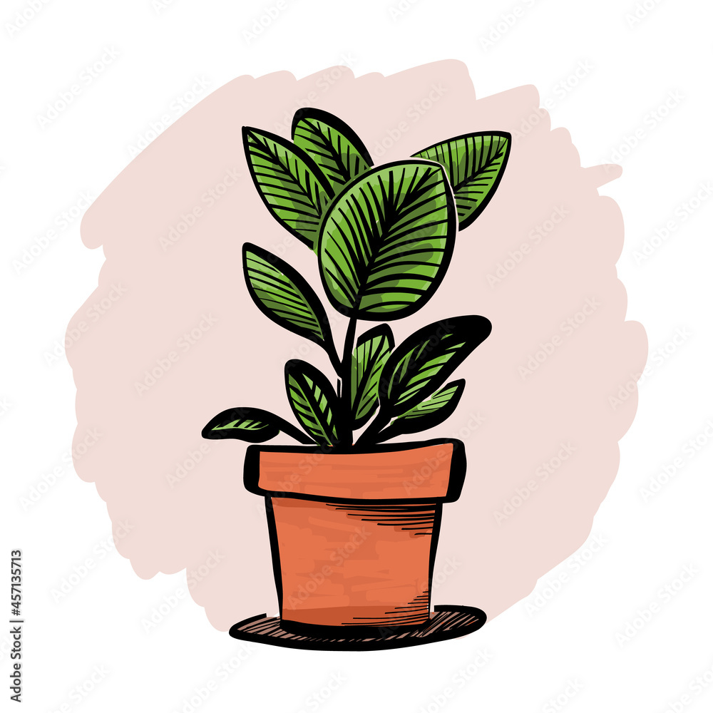 Artistic, markers sketch of the ficus tree or aspidistra houseplant, potted rubber fig plant circle icon, sticker, label