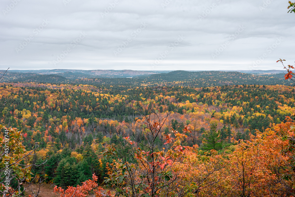 autumn landscape from the top of a mountain