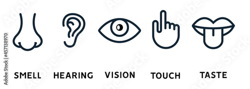 Five human senses vision eye, smell nose, hearing ear, touch hand, taste mouth and tongue. Line vector icons set