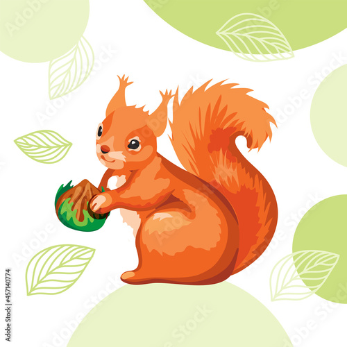 A funny red-haired squirrel is eating a nut. The fabulous squirrel is gnawing a hazelnut. fabulous rodent with beautiful eyes 