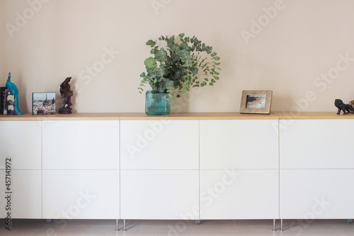 modern white furniture with plant photos and decoration