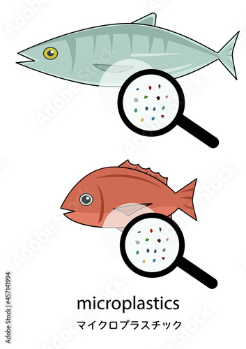 魚の体内に入ったマイクロプラスチックを分かりやすくイメージしたイラストセット