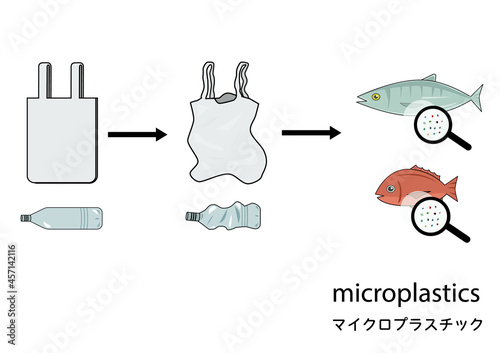 魚の体内に入ったマイクロプラスチックを分かりやすくイメージしたイラストセット