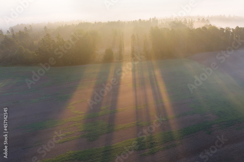 Aerial view of foggy trees in field at colorful sunrise in autumn. Colorful landscape with forest in low clouds  meadow in fog  orange sky with sun in the morning in fall. Top view. Nature