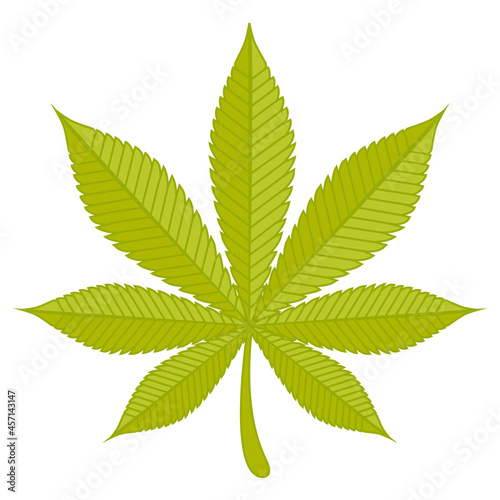 Cannabis leaf. Vector icon illustration.