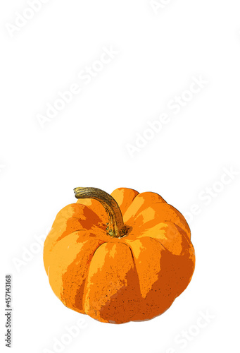 Illustration of Vibrant Orange Color Ripe Pumpkin Isolated on White Background